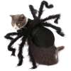 (🎃Halloween Promotion-50% OFF) Halloween Pet Spider Pup Dog Costume