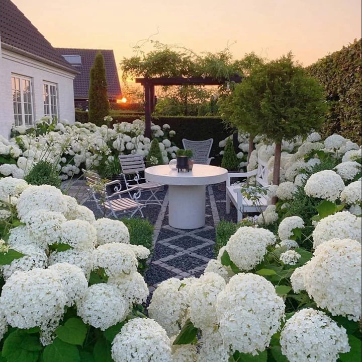 🔥Last Day Sale - 60% OFF💐Outdoor Artificial Hydrangea Flowers