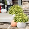 🎄Christmas Flash Sale-50% OFF-🔥Outdoor Artificial Flowers💐