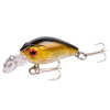 Minnow Fishing Lure