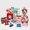 💥LAST DAY SALE 50% OFF💥Pop-Up Dog Cards