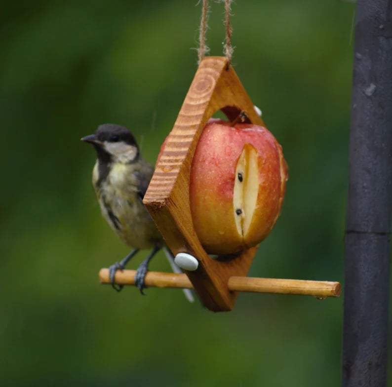 🎁TikTok Last Day Promotion -80% OFF🔥Fruit bird feeder Ideal for garden -🐦Buy 3 Get 3💚