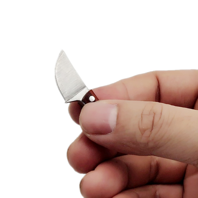 🔥Clearance Sale - Save 50% 🎁Damascus Mini Knife | Buy 4 Free Shipping