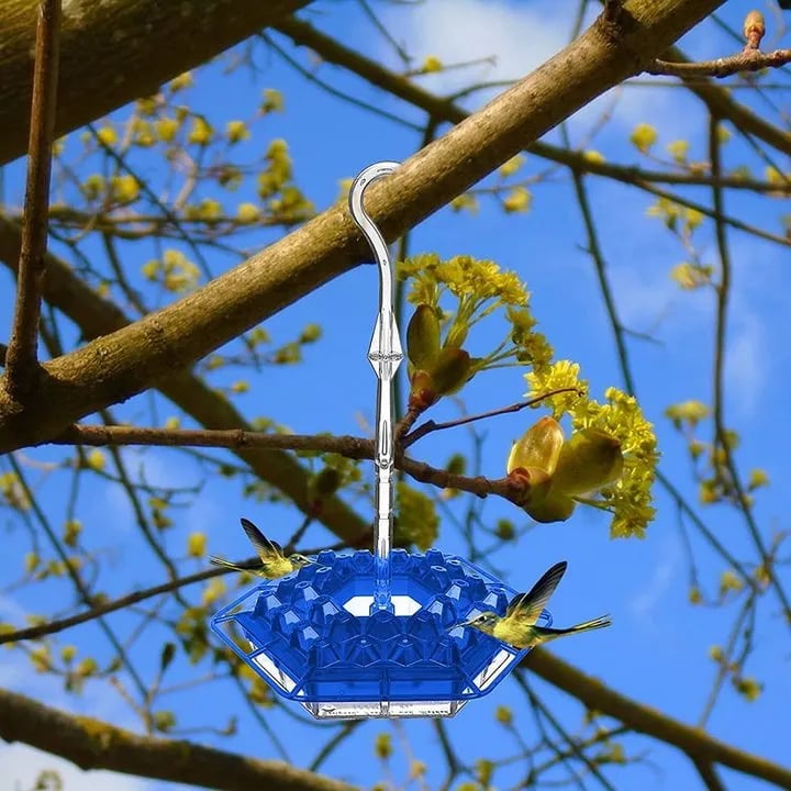 (🔥Last Day Promotion 50% OFF) 🐦Hummingbird Feeder With Perch