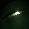 🎣 Summer Sale-50% OFF🐠LED Fishing Lure