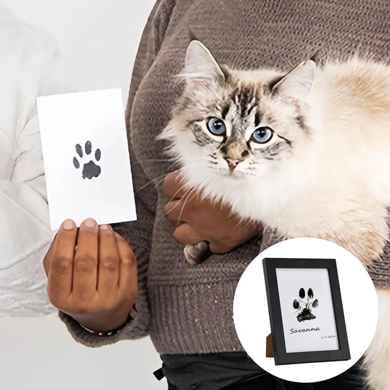 🔥Last Day 50% OFF- Pet Paw Printing Kit