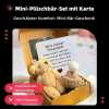 🎁Letzter Tag 50% RABATT -Handgemachter Mini-Plüsch-Teddybär in Box