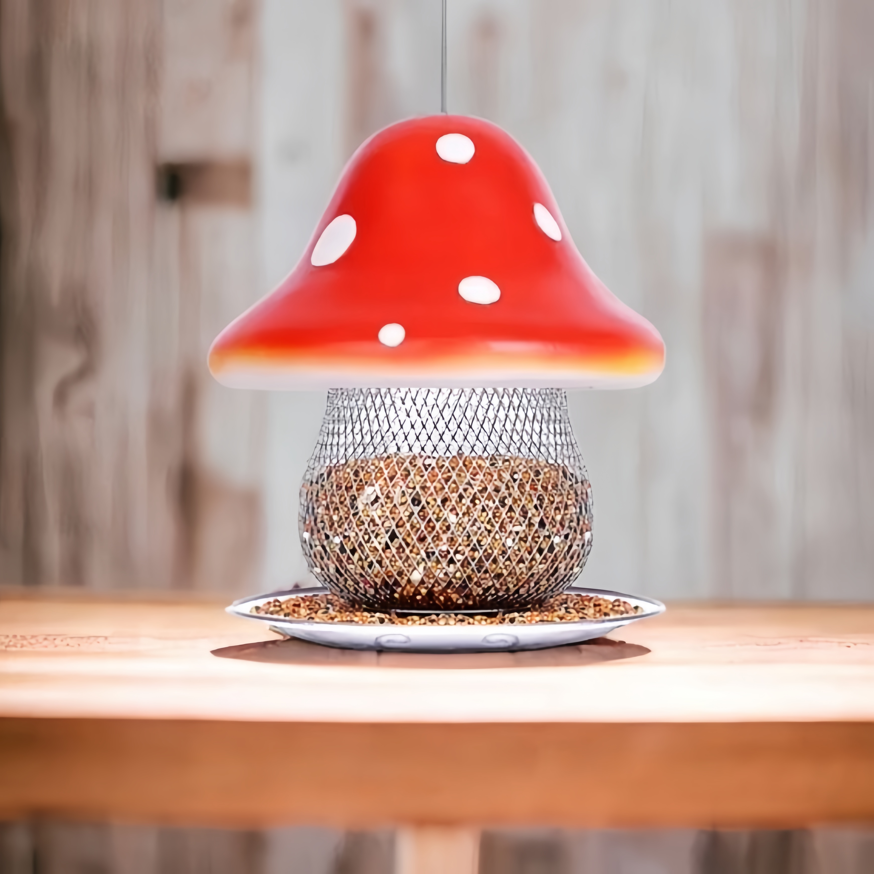 🔥Hot Sale 50% Off❤️Red Mushroom Solar Bird Feeders