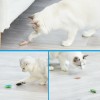 🐱BUY 5 GET 5 FREE🐞Electric Bug Toys