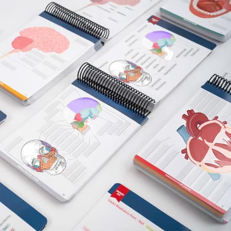 🔥Last Day 50% OFF - Anatomy Label Workbook 📘