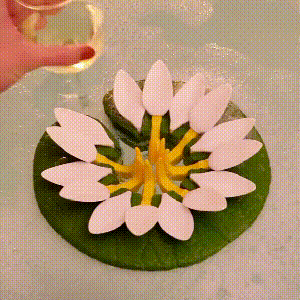 🎄Early Christmas Sales🎁Lily Pad Cupholder
