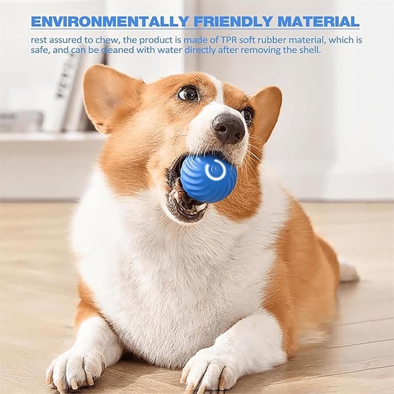 🔥New Year Promotion 48% OFF🐶😺Automatic Rolling Ball Pet Toy🎁Buy 2 Free Shipping