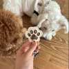 Last Day Promotion 70% OFF - 🐾Pet Paw Shaped Leather Keychain
