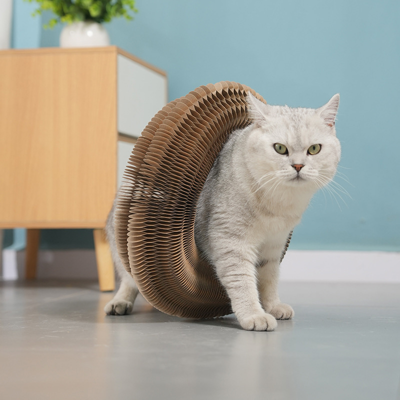 Un acheté, un offert !🔥Planche à gratter pour chat, jouet pour chat avec clochette🐾🐾