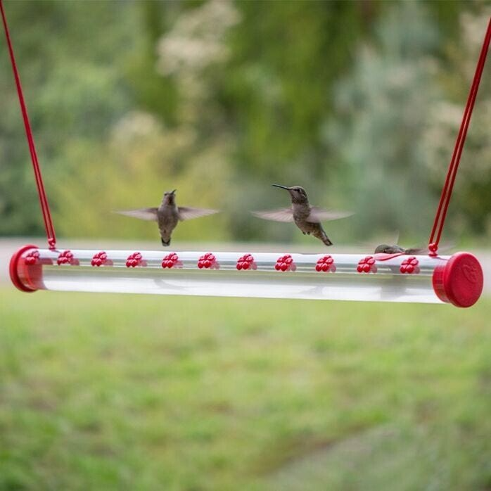 (🎉Mother's Day Sale 40%OFF) 2022 New Design Hummingbird Feeder-BUY 2 FREE SHIPPING