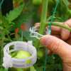 💥LAST DAY SALE 50% OFF💥Plant Growth Support Clips