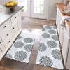 HEBE Anti Fatigue Kitchen Rug Sets 2 Piece Non Slip Kitchen Mats for Floor Cushioned Kitchen Rugs and Mats Waterproof Comfort Standing Mat Runner for Kitchen,Home Office,Sink,Laundry