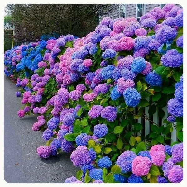 Flores De Hortensias Artificiales Al Aire Libre💐