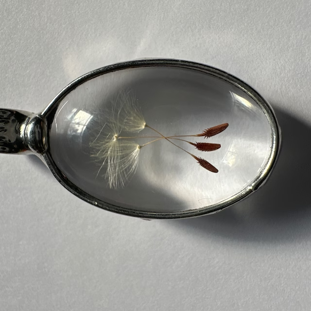 💕Handmade Dandelion Wish necklace - Made With Real Dandelion Seeds
