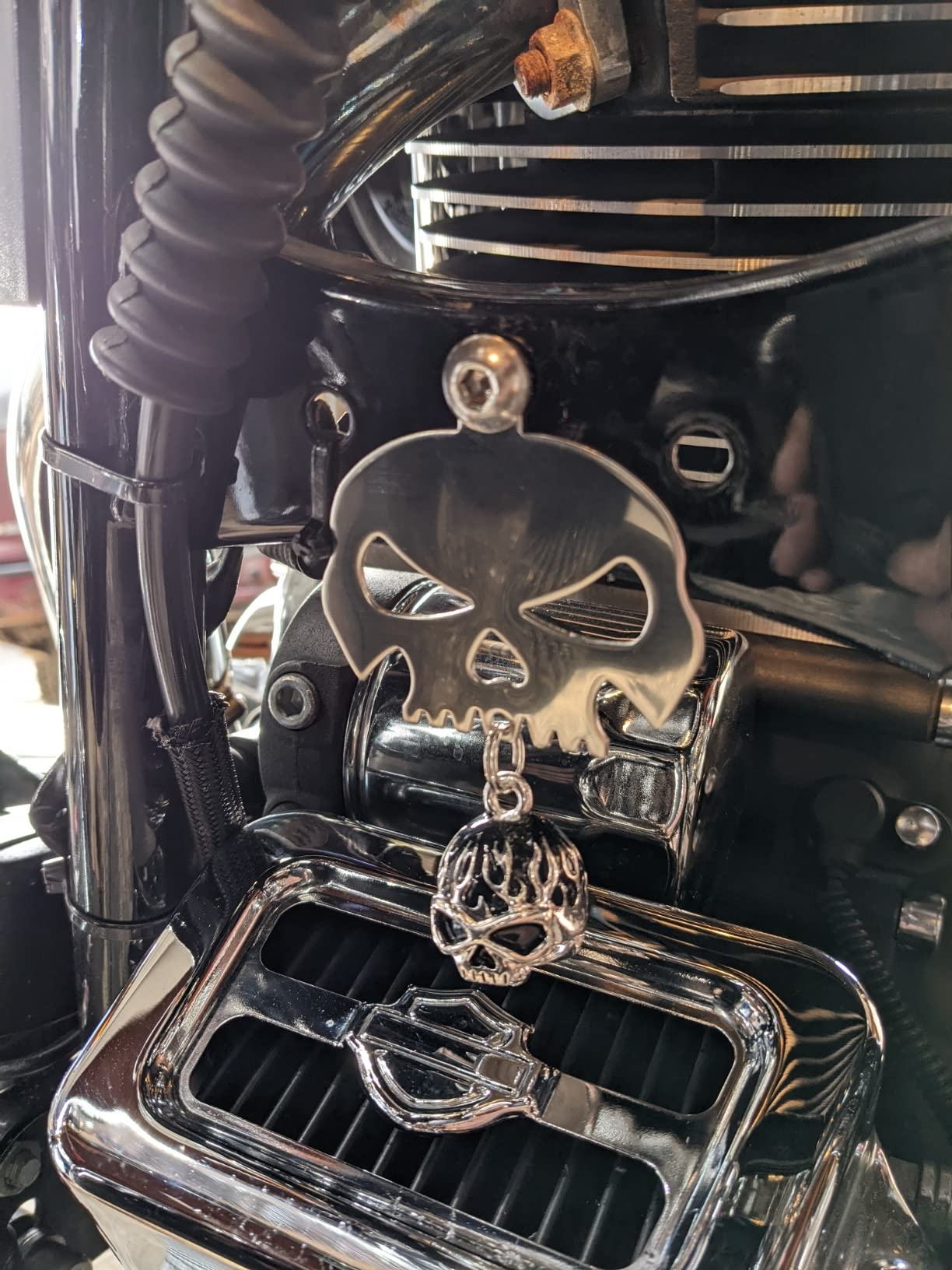 Universal Stainless Steel Skull Bell Hanger