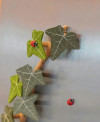 English Ivy Fridge Magnet with Articulating Vine