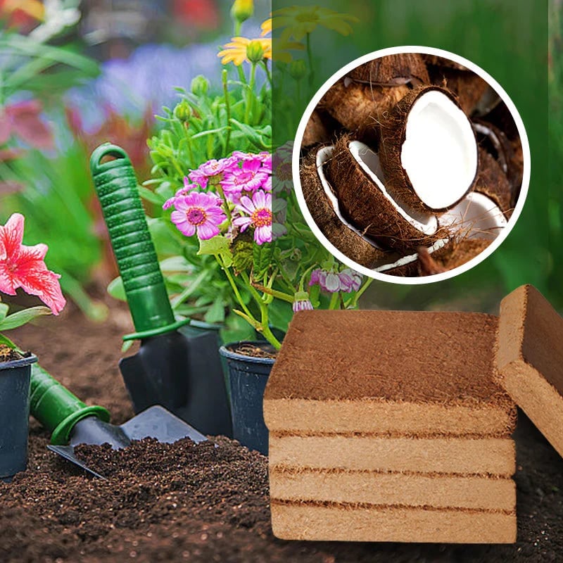 (🔥Last Day Promotion 50% OFF) Organic Coconut Coir for Plants - Buy 2 Get 1 Free