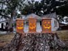 🎃Early Halloween Sale👻Handmade Wooden Halloween Glowing Lantern-BUY 2 FREE SHIPPING