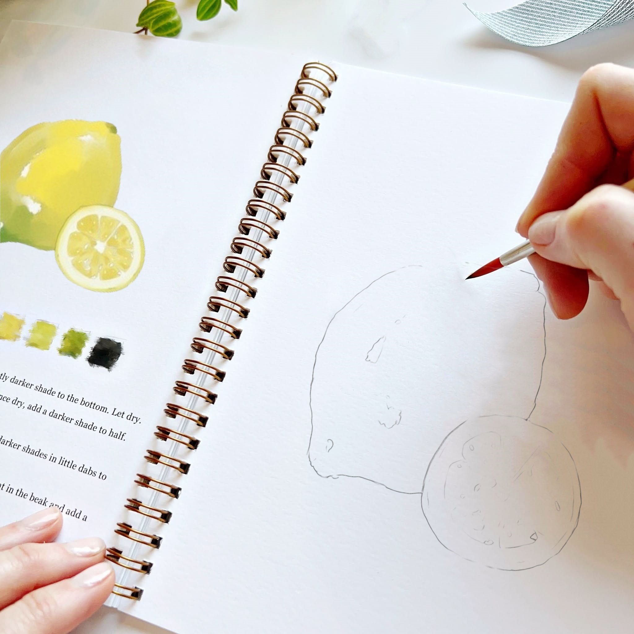 🍓Fruits Watercolor Workbook(🔥2025 New Limited Edition)