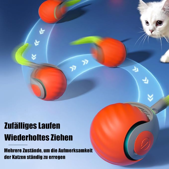 🔥Letzter Tag Verkauf 49% Rabatt🔥Katzenball Version 2.0