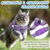 Cat Harness & Leash