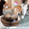 🐱Interactive Toy For Cats (BUY 2 FREE SHIPPING)