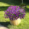 🌸 Spring Summer Home Decoration - 🌿 Fake Silk Colorful Morning Glory
