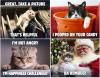 Buy 2 Free Shipping😾2025 Pissed-off Cats Calendar - Funny Cat Themed Gifts For Cat Lovers🎁