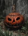🎁TikTok Last Day Sale - 70% OFF🎃Bloody Accented Pumpkin Decor