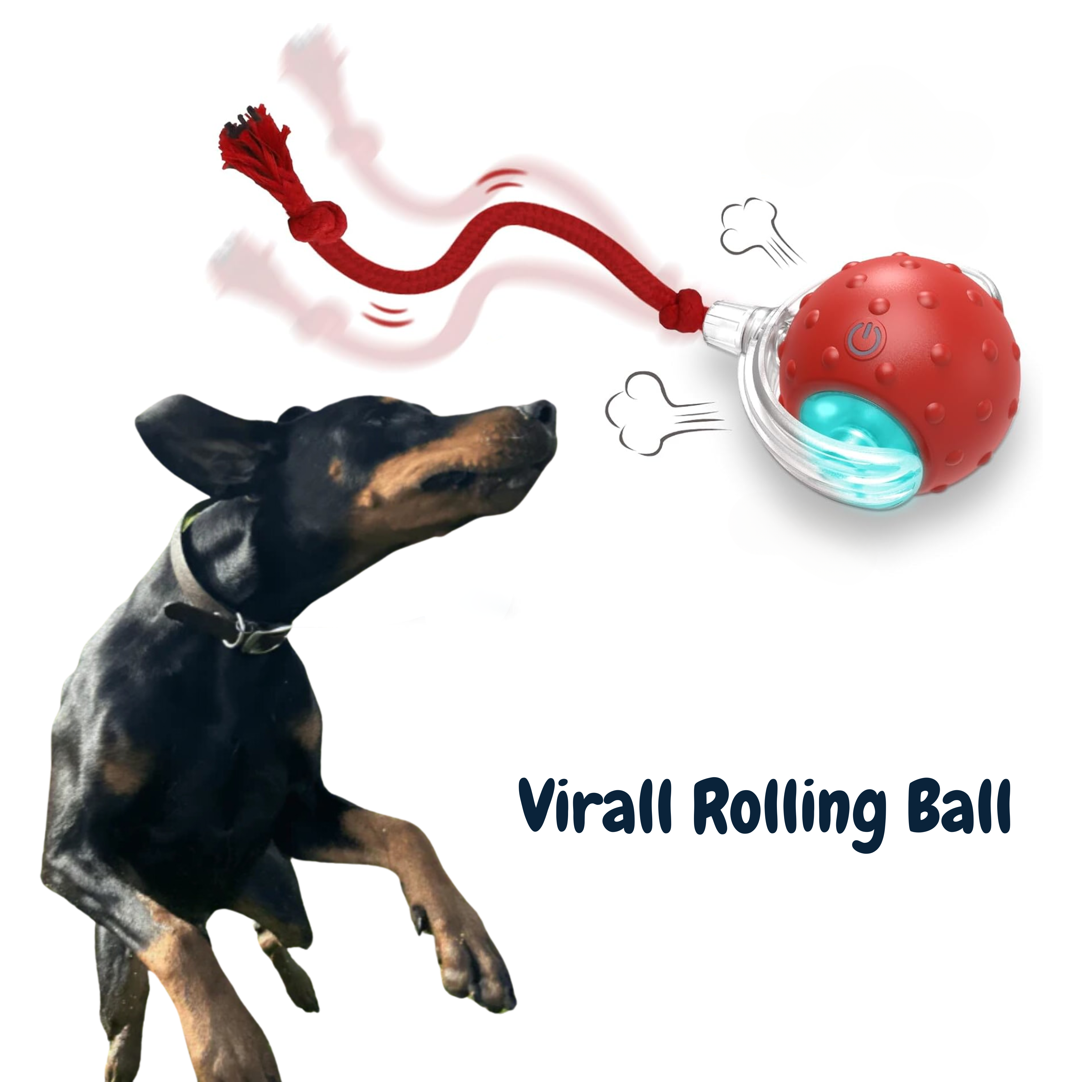 🐱🐶Chewie Viral Bouncing Ball, 🔥Buy 2 Get 1 Free