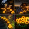 🎊HOT SALE🌻 Waterproof Solar Garden Sunflower Lamp (4 Pack&Buy 2 Free Shipping）