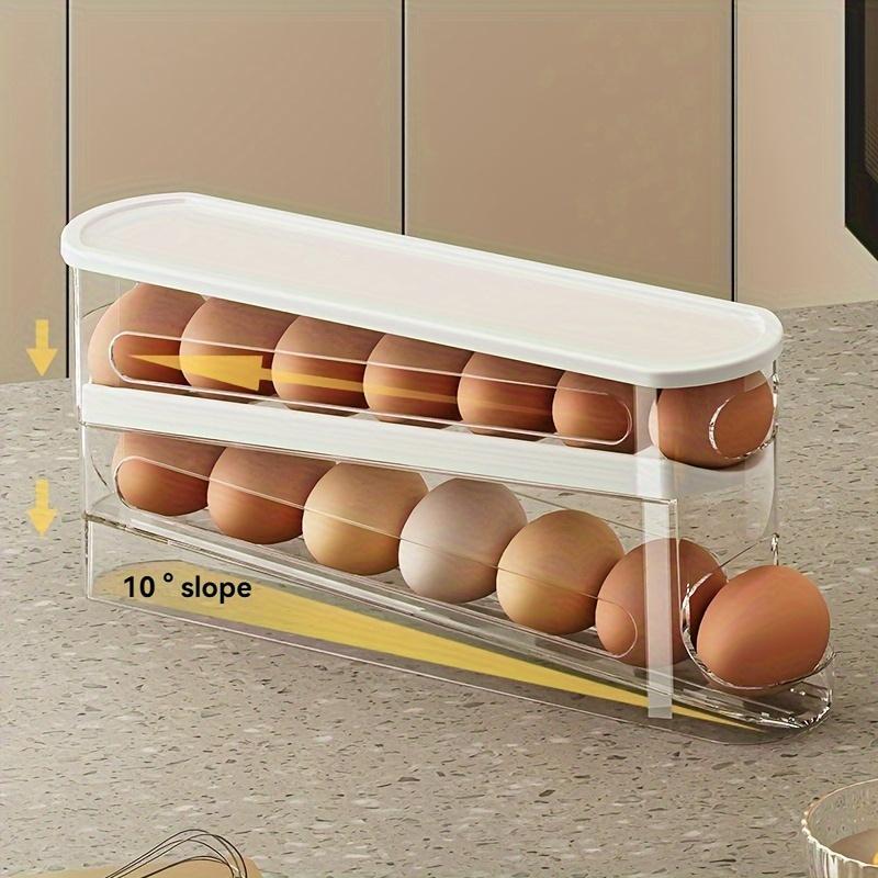 💥LAST DAY SALE 50% OFF💥2-Tier Tilted Design Egg Storage Rack