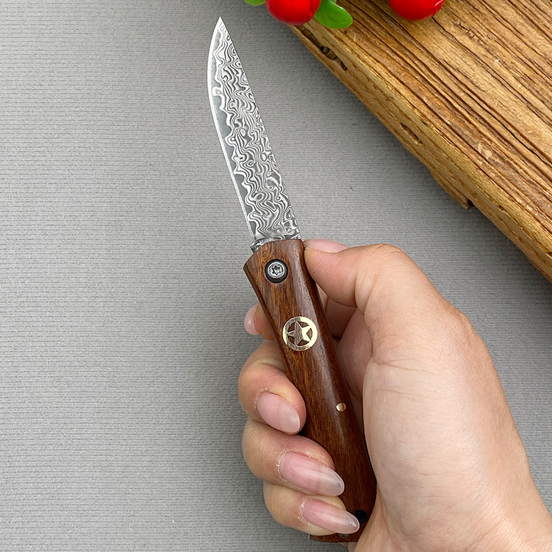 Exquisite Handcrafted Stainless Steel Pocket Knife with Wooden Handle and Damascus Blade
