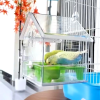 🔥Last Day Promotion 70% OFF🔥Pull-Out External Parrot Feeder⚡️Buy 2 Free Shipping
