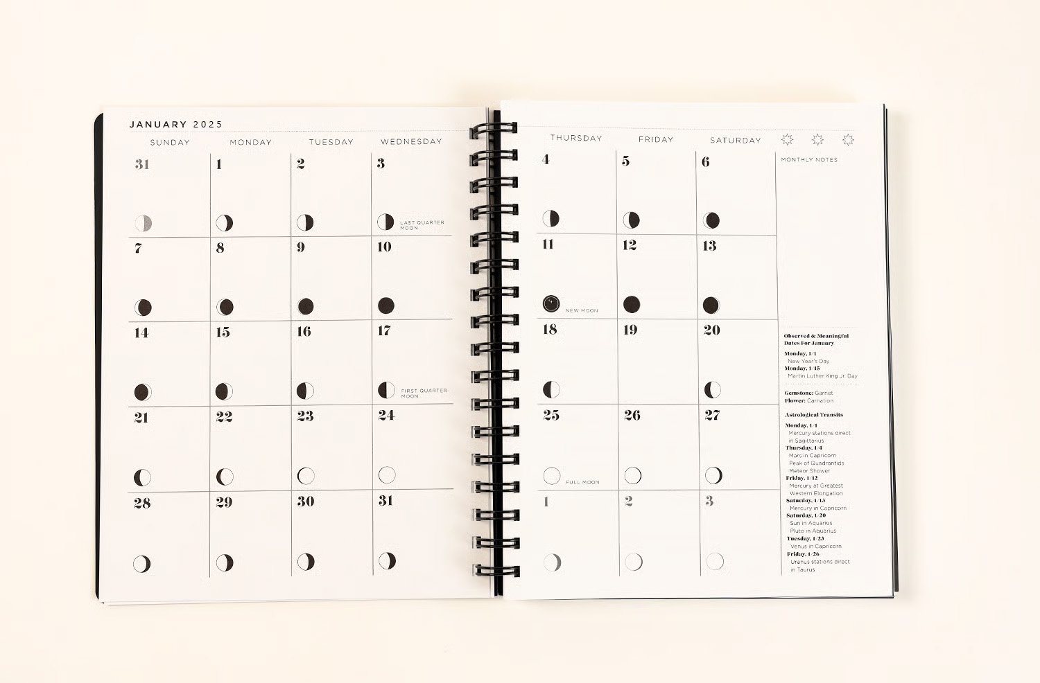 🎅Christmas Promotion 48% OFF-🎁-2025 Many Moons Lunar Planner📚