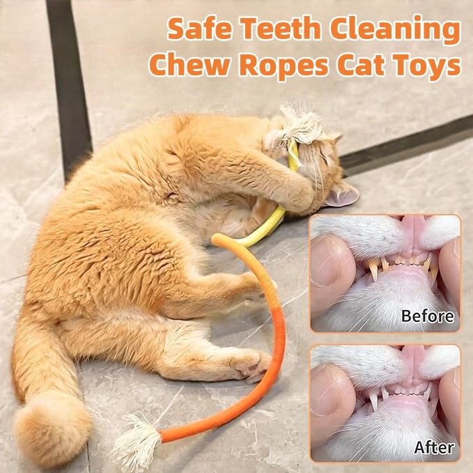 🔥New Year Promotion 48% OFF🐱Cat Toys Chew Ropes