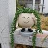 🌼 Swing Smile Face Hanging Flower Head Planters Pot