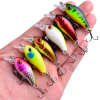 Minnow Fishing Lure
