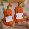 Crochet Pumpkin Hug
