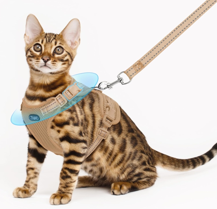 Cat Harness & Leash