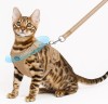 Cat Harness & Leash