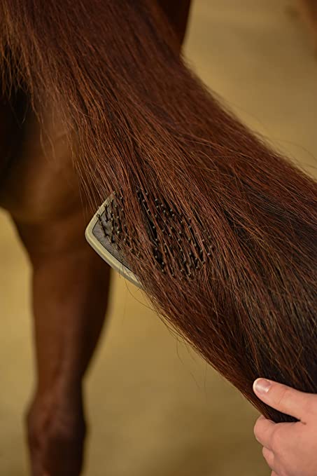 Professional Animal Equine Grooming Mane and Tail Horse Brush