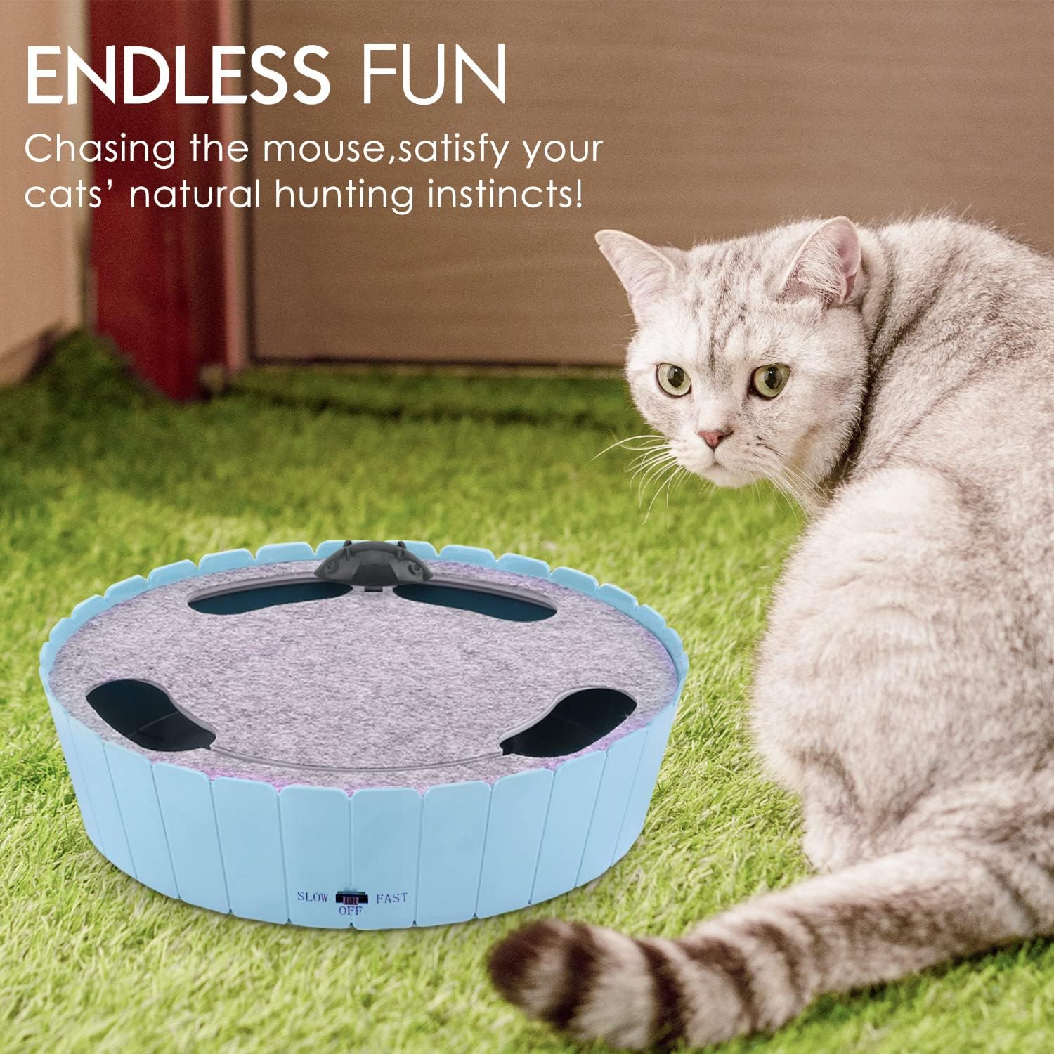 Buy 2 Free Shipping-Cat Toy with Running Mouse