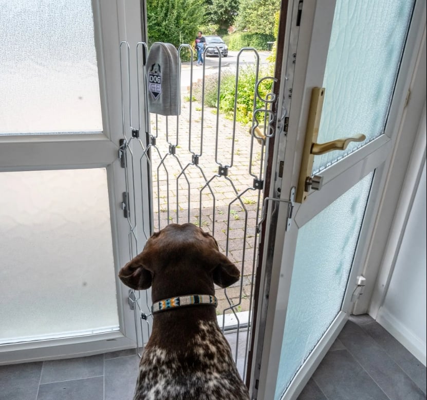 Pet Safety Gate