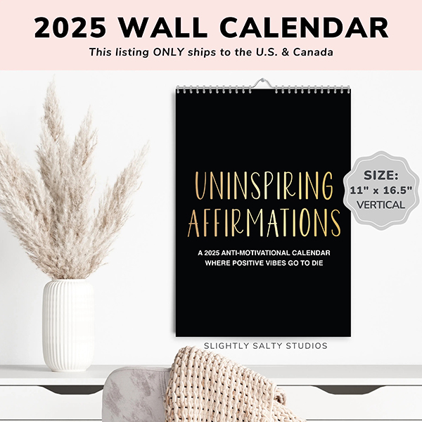 🔥Hot Sale 49% OFF - 2025 Demotivational Sarcastic Wall Calendar